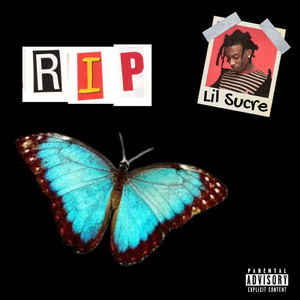 欧美六十路老妇
